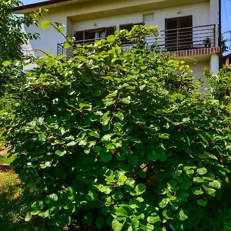 Apartment Toto Kraj (Istria)